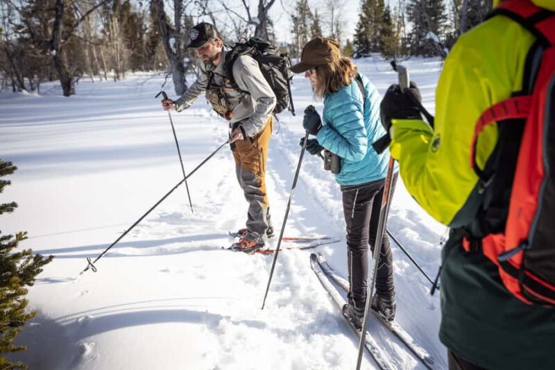 Grand Teton National Park: 4-Hour Beginner Cross-Country Ski - The Sum Up