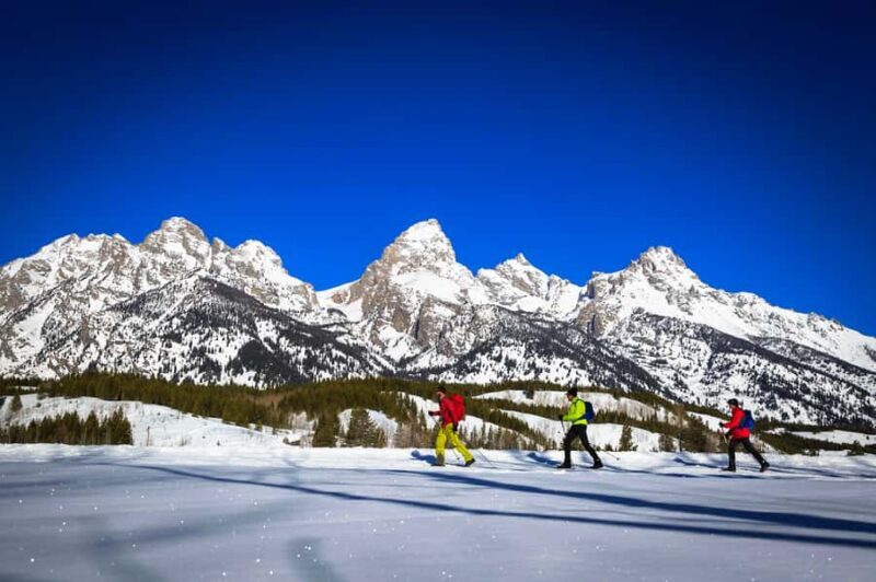 Grand Teton National Park: 4-Hour Beginner Cross-Country Ski - FAQs