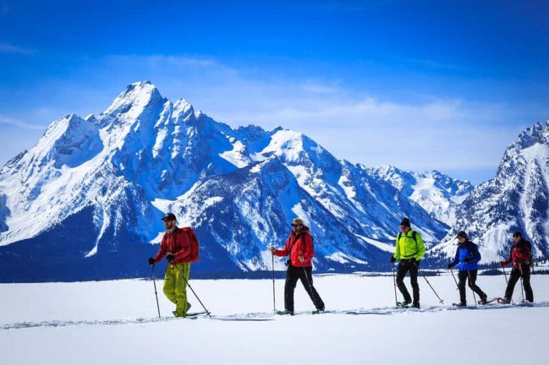 Grand Teton National Park: 4-Hour Easy Snowshoeing Tour - Key Points
