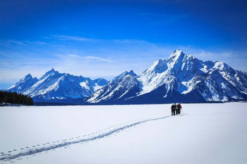 Grand Teton National Park: 4-Hour Easy Snowshoeing Tour - Frequently Asked Questions