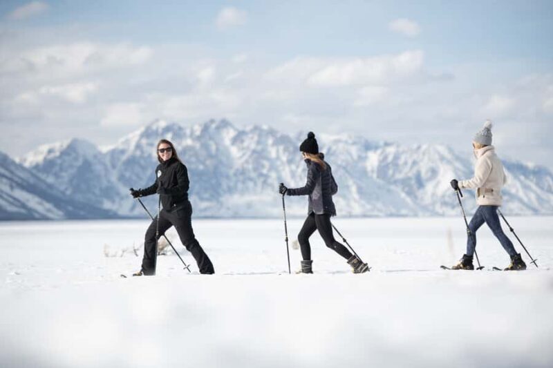 Grand Teton National Park: 8-Hour Willdlife & Snowshoe Tour - An In-Depth Look at the Grand Teton Snowshoe & Wildlife Tour
