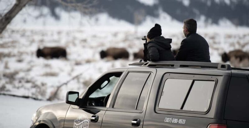 Grand Teton National Park: 8-Hour Willdlife & Snowshoe Tour - Who Is This Tour Best For?