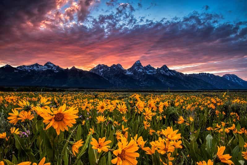 Grand Teton: Private Guided Tour (Sunset) - A Personal Tour of Grand Teton at Sunset