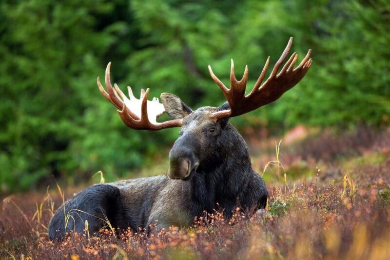 Grand Teton: Private Guided Tour (Sunset) - Final Thoughts