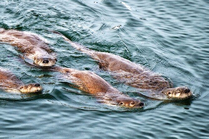 Grand Teton: Private Sunset Tour - Final Thoughts
