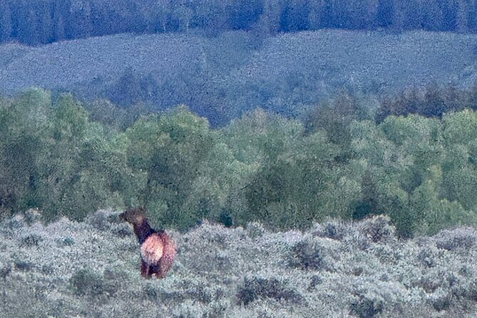Grand Teton Sunrise Scenic Tour - How Does It Compare in Value?