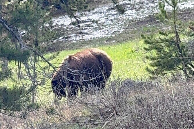 Grand Teton Sunrise Scenic Tour - Final Thoughts: Is it Worth It?
