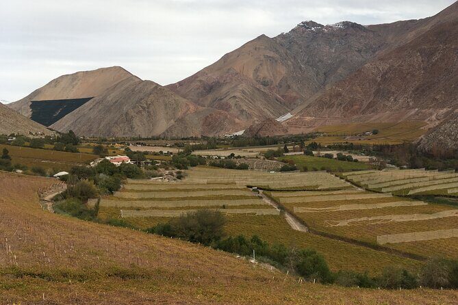 Grand Tour Elqui Valley Mountains and Cultural Treasures of Chile - The Start: Comfortable Transportation & Early Pickup