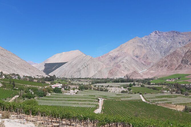 Grand Tour Elqui Valley Mountains and Cultural Treasures of Chile - The Heart of the Tour: Exploring Vicuna and Pioneering Towns