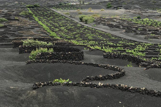 Grand Tour Lanzarote Experience: the footprint of the landscape - The Sum Up