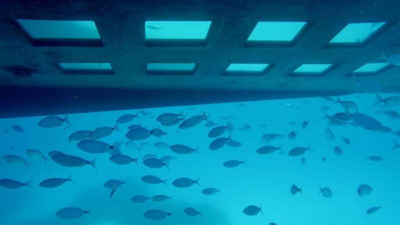 GRAND TOUR SITES CLASSÉS Vision sous-marine,baignade,boisson - Final Thoughts: Why You Should Consider This Tour