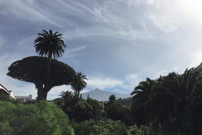 Grand Tour Tenerife - Full-Day Private VIP Tour - Final Thoughts
