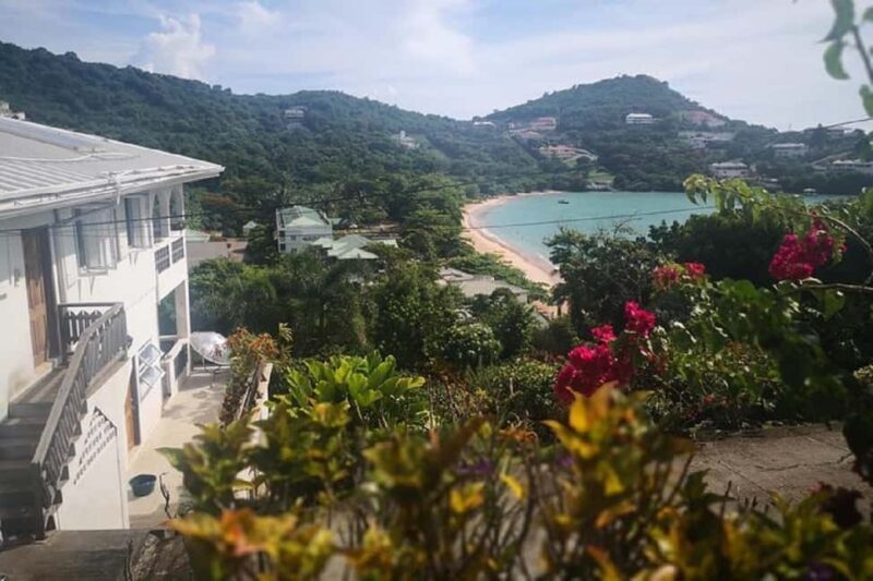 Grand Tours Grenada Call the Boss Taxi Luxurious Island Tour - Authentic Experiences and Authenticity