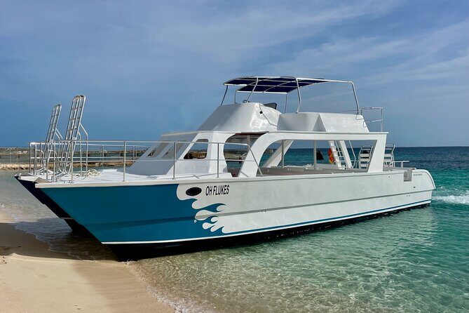 Grand Turk: Whale Watching - The Sum Up