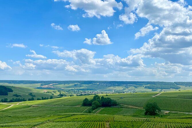 GRAND VINTAGE Ruinart Veuve Clicquot Private Champagne from Paris - Key Points