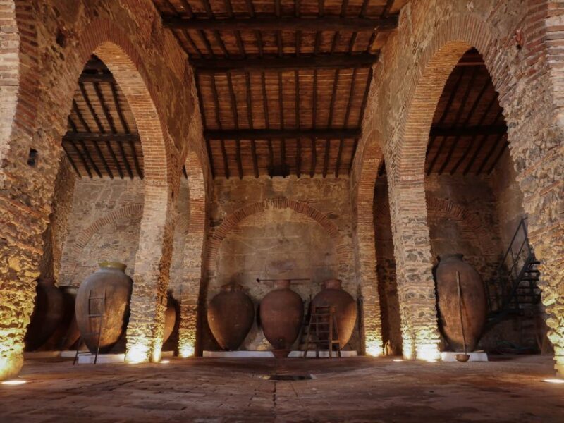 Grande Prova Honrado Vineyards - Final Thoughts: Is It Worth It?
