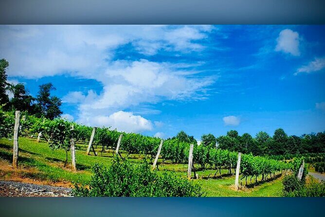 Grandfather Mountain Private Wine & Dine Tour from Asheville - Third Stop: Black Mountain