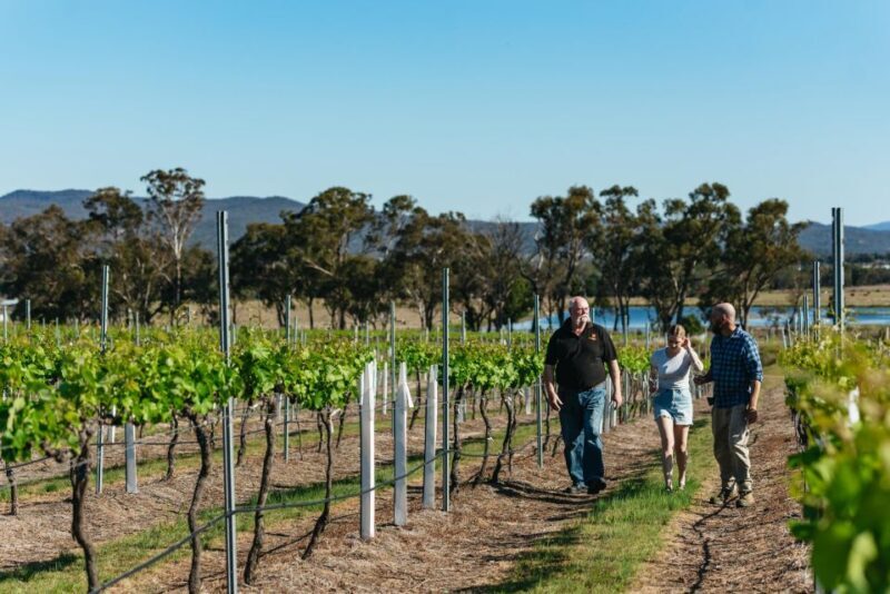 Granite Belt: Winemakers Winetasting Experience & Cheese - Exploring the Granite Belt: Winemakers Winetasting & Cheese Experience