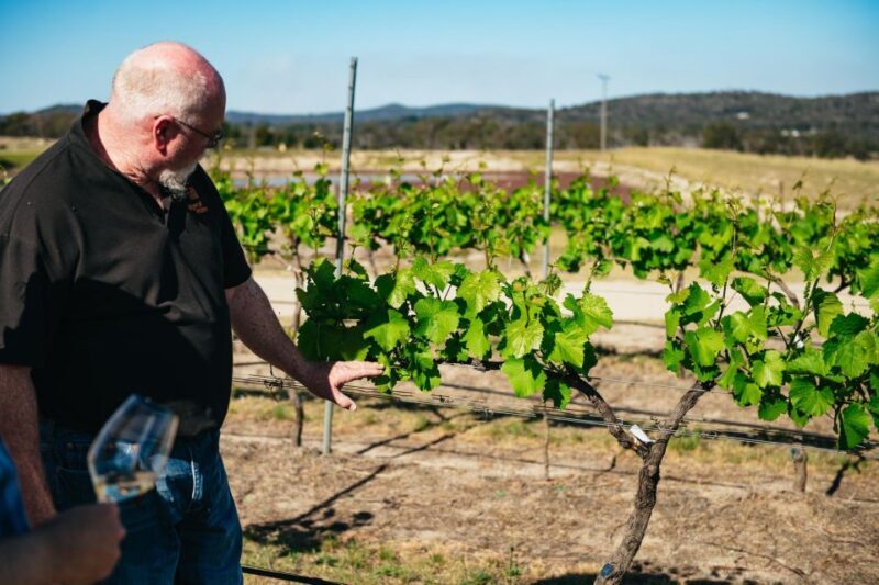 Granite Belt: Winemakers Winetasting Experience & Cheese - Final Thoughts