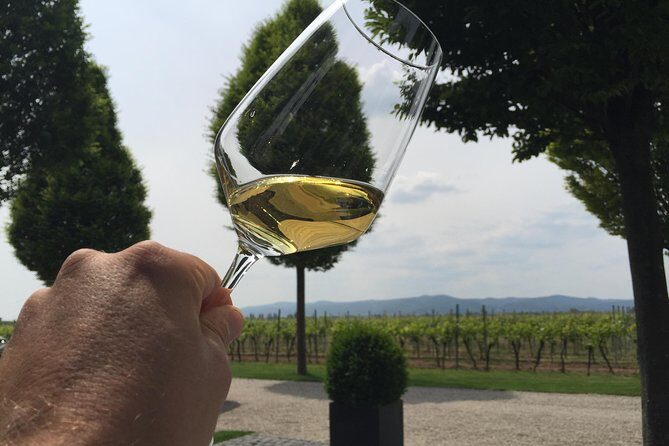 Grape Day out Pfalz to taste cracking Red wines & Riesling - The Guide and Personal Touch