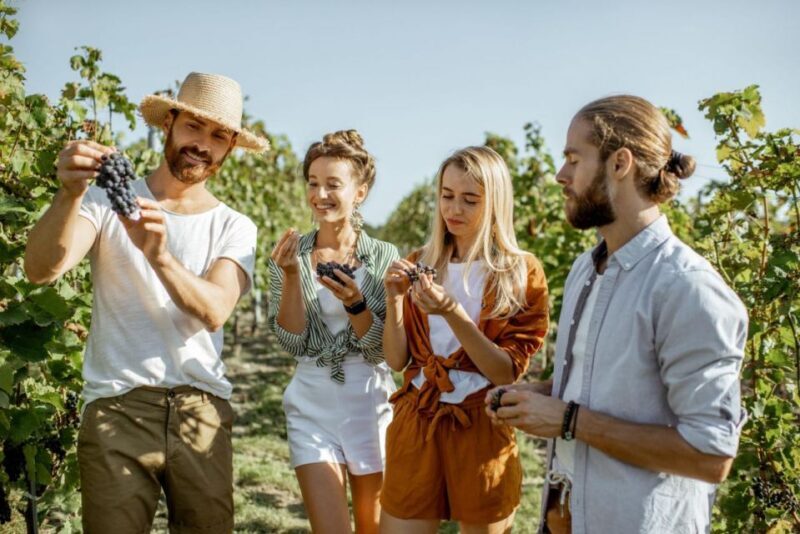 Grape Escapes Full-Day Private Wine Tour in Ithaca - Who Will Love This Tour?