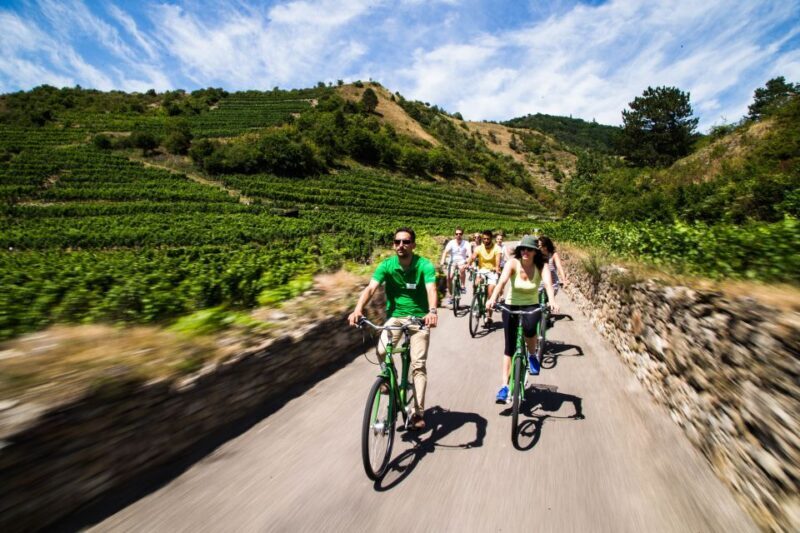 Grape Grazing: Wachau Valley Winery Biking Tour - The Itinerary: A Day in the Wachau Valley