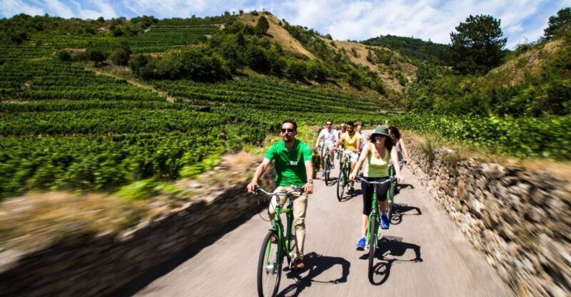 Grape Grazing: Wachau Valley Winery Biking Tour - The Experience in Practice: What Travelers Say