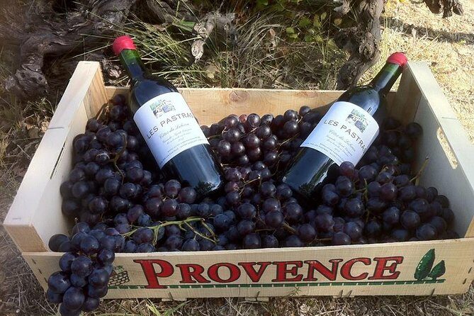 Grape Stomping in Provence - Who Will Enjoy This Tour?