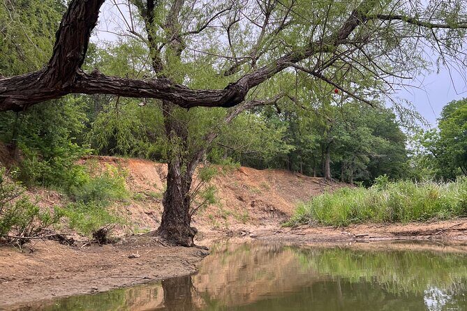 Grapevine Lake Kayak Eco Tour - Concluding Thoughts