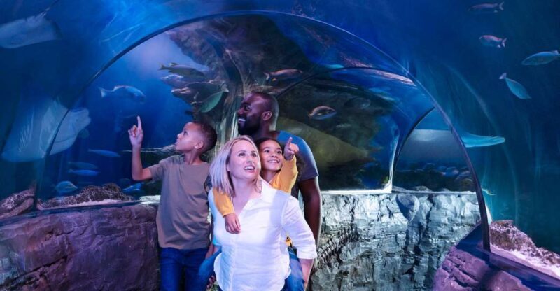 Grapevine: SEA LIFE Grapevine Aquarium General Admission - FAQ