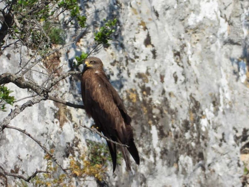 Gravina di Laterza: discover the largest Canyon in Europe - Who Will Enjoy This Experience?
