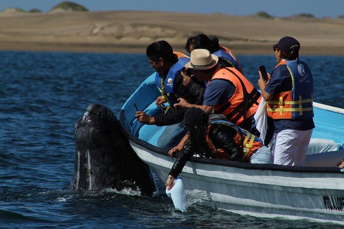 Gray Whale-Watching 2-Day Experience in Magdalena Bay - Who Should Consider This Tour?