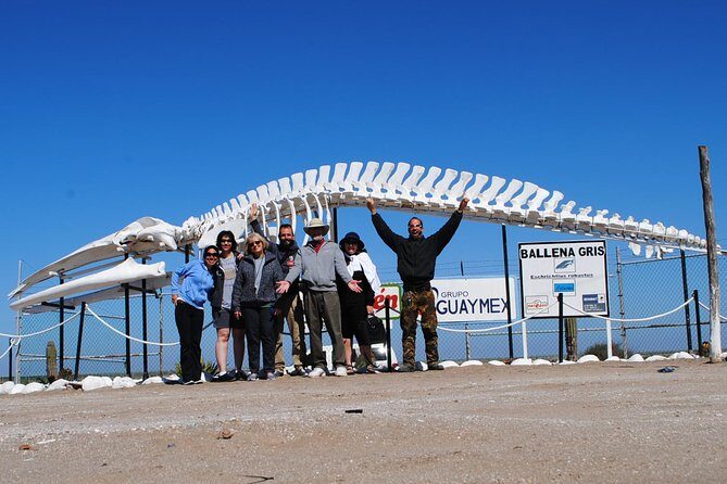 Gray Whale-Watching 2-Day Experience in Magdalena Bay - The Sum Up: Is This Tour Worth It?