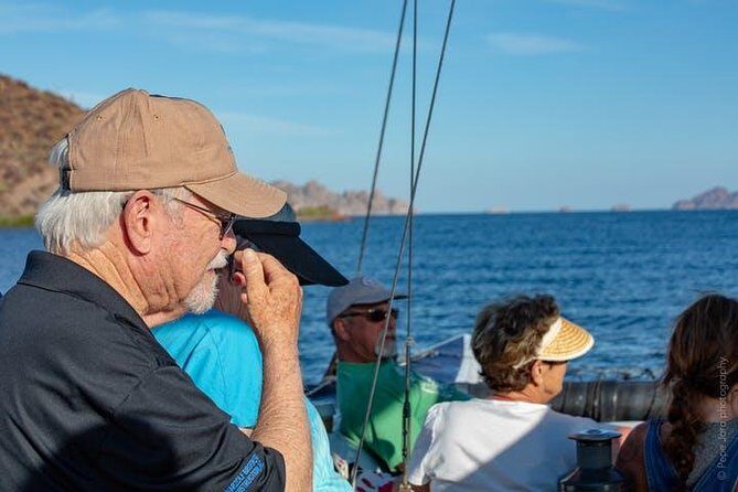 Gray Whale Watching Tour at Lopez Mateos - The Heart of the Magdalena Bay Experience