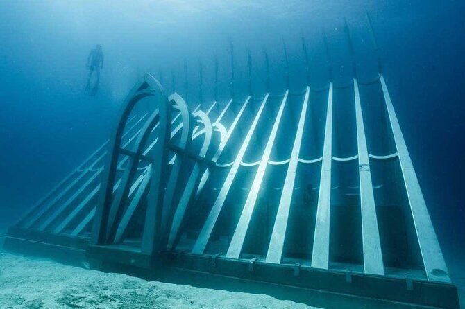 Great Barrier Reef and MOUA Cruise from Townsville or Magnetic Island - Key Points