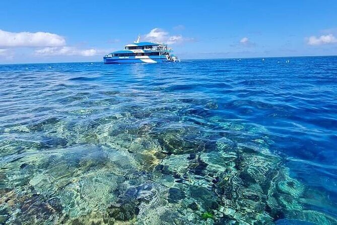 Great Barrier Reef and MOUA Snorkeling Day Tour from Townsville - Who is This Tour Best For?