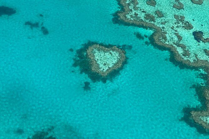 Great Barrier Reef and Whitsunday Islands Tour - A Closer Look at the Whitsundays & Hamilton Island Tour