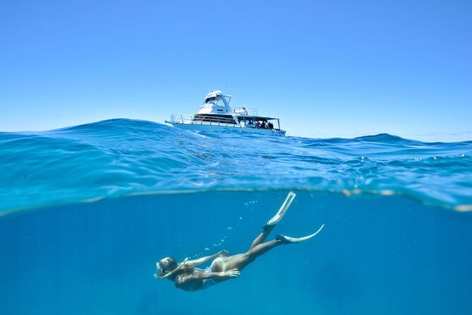 Great Barrier Reef Cruise from Townsville or Magnetic Island - Discover the Great Barrier Reef from Townsville or Magnetic Island