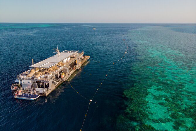 Great Barrier Reef Full Day Adventure - An In-Depth Look at the Tour Experience
