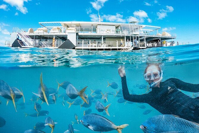 Great Barrier Reef Full Day Adventure - FAQ