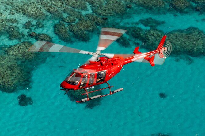 Great Barrier Reef or Rainforest Scenic Flights from Port Douglas - Discover the Magic of the Great Barrier Reef and Rainforest from the Sky