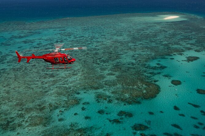 Great Barrier Reef or Rainforest Scenic Flights from Port Douglas - Key Points