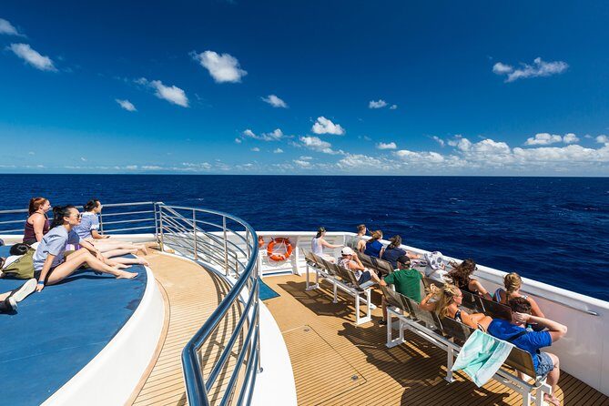 Great Barrier Reef Snorkeling and Diving Cruise from Cairns - The Complete Experience: What to Expect