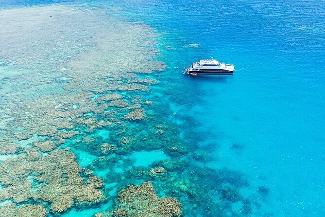 Great Barrier Reef with Cultural Guides-Dreamtime Dive & Snorkel - The Experience: What You Can Expect on the Reef with Indigenous Guides