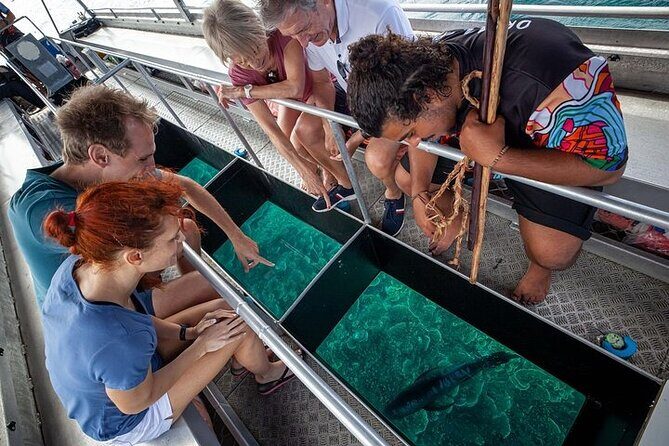 Great Barrier Reef with Cultural Guides-Dreamtime Dive & Snorkel - In-Depth Review: Why You Should Consider This Reef Adventure
