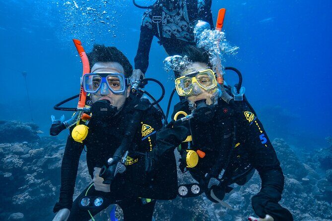 Great Barrier Reef with Cultural Guides-Dreamtime Dive & Snorkel - Frequently Asked Questions