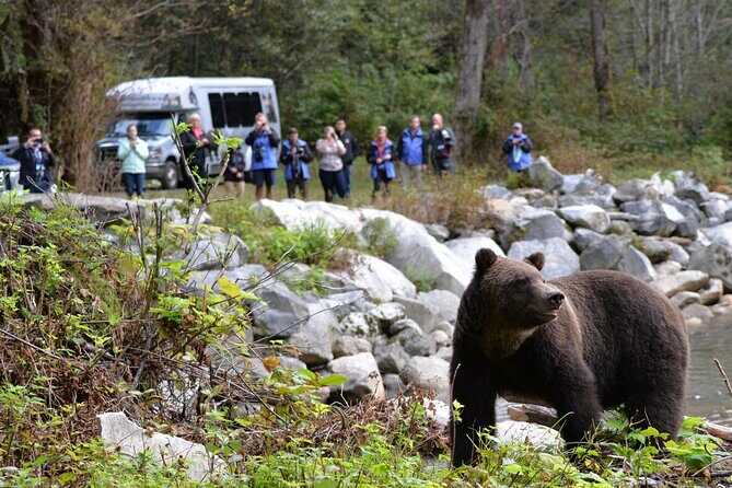 Great Bears of Bute: Grizzly Bear Viewing & Indigenous Cultural Tour - The Experience in Detail: From Start to Finish