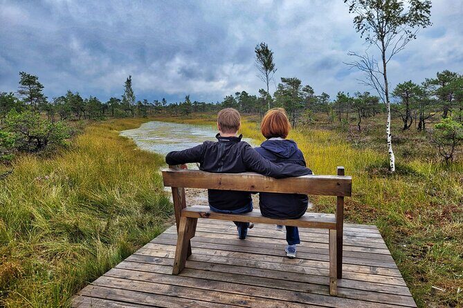 Great emeri Bog and Swamp Forest Hiking Adventure - An In-Depth Look at the Tour Experience