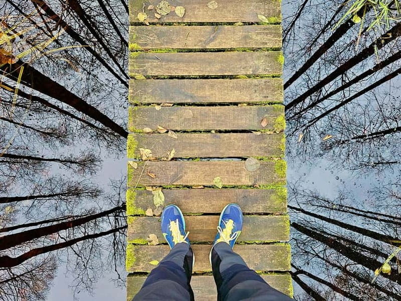 Great emeri Bog & Swamp Forest Hiking Adventure - Practical Details and What to Expect