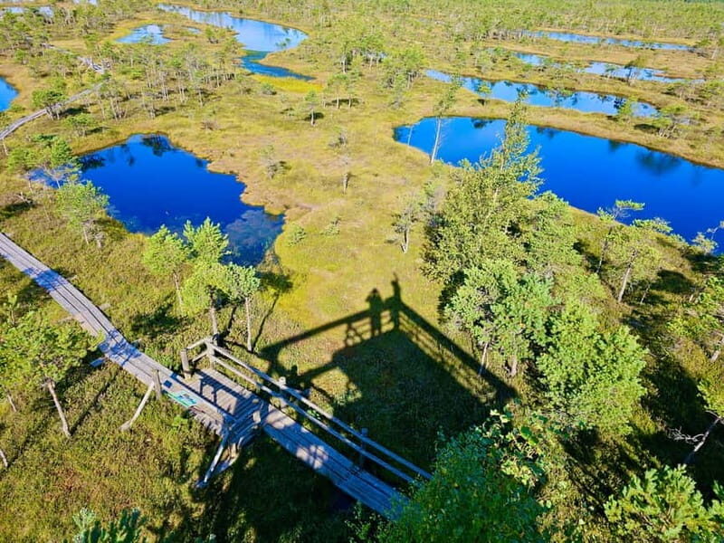 Great emeri Bog & Swamp Forest Hiking Adventure - Who Will Enjoy This Tour?